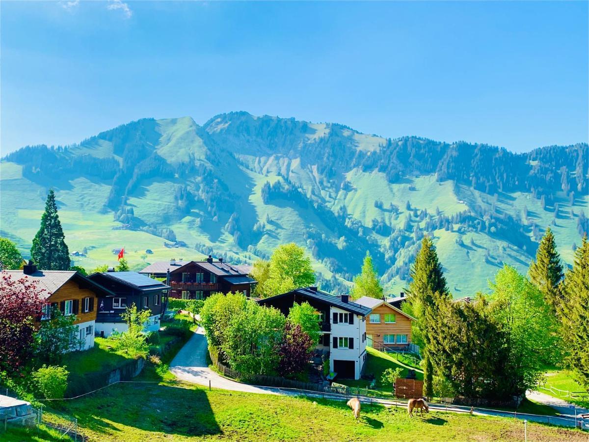 The Swiss Paradise 1 Penthouse Apartment Wirzweli Buitenkant foto